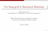 Yin-Yang grid in Numerical Relativity - uni-jena.de · Yin-Yang grid in Numerical Relativity Wasilij Barsukow1;2 Pedro Montero1, Ewald Muller 1, Thomas W. Baumgarte3 1Max-Planck-Institute
