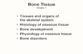 Tissues and organs of the skeletal system Histology of ...web.gccaz.edu/~phipd16661/Chap7_Bone.pdf · •Tissues and organs of the skeletal system •Histology of osseous tissue ...