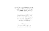 Sickle Cell Disease: Where are we? - ANPA Cell Disease: Where are we? ... Pathophysiology of Sickle Cell Disease ... • Pilot newborn screening schemes have been established in several