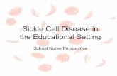 Sickle Cell Disease in the Educational Setting - nepscc.orgnepscc.org/2017/wp-content/uploads/2017/06/2-School-nurse...• Aim of newborn screening is to ... • Can cure sickle cell,