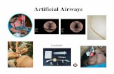 jy 4 Emergency Airway Management and Artificial Airways · Determine the need to establish an artificial airway and be able to manage and provide routine care. 2. ... jy 4 Emergency