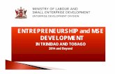 ENTREPRENEURSHIP and MSE DEVELOPMENT - Inicio … · ENTREPRENEURSHIP and MSE DEVELOPMENT ... A new and enhanced suite of tax incentives ... • Challenges accessing finance