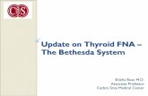 Update on Thyroid FNA – The Bethesda System - …lasop.com/pgs/hdouts/2010-01_Bose--Update_on_Thyroid_FNA,_The...Update on Thyroid FNA – The Bethesda System Shikha Bose M.D. ...