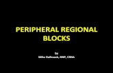 PERIPHERAL REGIONAL BLOCKS - Allegheny … ·  · 2017-05-22• Peripheral regional blocks can be used as primary or adjunct anesthesia for virtually ... Amide vs Ester ... • Rectus