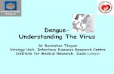 Dengue- Understanding The Virus - moh.gov.myjknj.moh.gov.my/jsm/day3/Dengue, Understanding The Virus - Dr... · Dengue-Understanding The Virus Dr Ravindran Thayan Virology Unit, Infectious