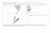 biodiversity lab 3 - Mrs.C's Web Page BIOLOGY/Classification... ·  · 2011-03-25Microsoft Word - biodiversity lab 3.docx Author: Chamberlain, Marna Created Date: 3/10/2011 5:05:48