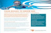 frOM BiOgas tO grEEN gas - RVO.nl Biogas to... · frOM BiOgas tO grEEN gas ... green removed in a pre-treatment or post-gas can be certified ... Heat is also necessary to regenerate
