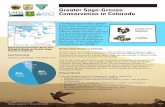 Greater Sage-Grouse Conservation in Colorado ·  · 2015-09-22• Energy development: oil and gas drilling; • Infrastructure: transmission towers, fences, roads, and pipelines