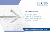 INTERNATIONAL LABOUR STANDARDS, RIGHTS AT … · international labour standards academy ils and non-standard forms of employment gender, equality and diversity international labour