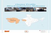 Cluster Profile - Mehsana Mixed industries - …sameeeksha.org/pdf/clusterprofile/Mehsana-Mixed-Industries-Gujara… · [Project Report No. 2014IE15] ... intermittently through blow