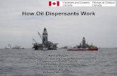 How Oil Dispersants Work - American Chemical Society · Application of Oil Dispersants ... (mechanical recovery techniques (skimming and booming) ... • Directive issued by US EPA