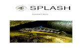 SPLASH - Milwaukee Aquarium Societymilwaukeeaquariumsociety.com/.../2012/08/August-SPLASH-2012.pdf · From the Fish Room of the President ... as I read back over the past Splash articles,