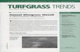 A PRACTICAL RESEARCH DIGEST FOR TURF MANAGERS TURFGRMS …archive.lib.msu.edu/tic/tgtre/article/1999may1a.pdf · A PRACTICAL RESEARCH DIGEST FOR TURF MANAGERS TURFGRMS TRENDS ...