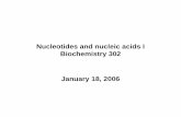 Nucleotides and nucleic acids I Biochemistry 302 January ...biochem.uvm.edu/courses/files/302_spring_2006_lecture011806.pdf · Nucleotides and nucleic acids I Biochemistry 302 January