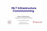 HLT Infrastructure Commissioning - McGill Physicssteven/StevenWebFiles/Talks/HLTcommis.pdf · Initial purchase for “summer 2008” to bring total to >=36 ... the opportunity to