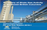 Summary of Shale Gas Activity in Northeast British ... · Summary of Shale Gas Activity in Northeast British Columbia 2014 Ministry of Natural Gas Development Oil and Gas Report 2016-1