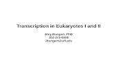 Transcription in Eukaryotes I and II - University of Floridaoge.med.ufl.edu/courses/gms 6001/Transcription Eukaryotes I and II... · Transcription in Eukaryotes I and II Jörg Bungert,