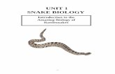UNIT 1 SNAKE BIOLOGY - Toronto Zoo | Canada's … Curriculum Resource Unit 1: Snake Biology Teacher Resource- Answer Sheet- Primary ACTIVITY 1.1 Monstrous Appetites (Continued) ANSWERS