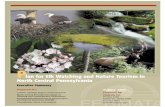 Elk Watching Report - PA Wilds Center · Establish a cooperative marketing effort that is consistent ... national and regional tourism trends. ... Cranberry Swamp