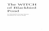 The WITCH of Blackbird Pond - Wikispaces · 1 The WITCH of Blackbird Pond by Elizabeth George Speare modified by Steve King