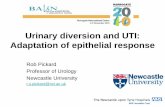 Urinary diversion and UTI: Adaptation of epithelial response · Urinary diversion and UTI: Adaptation of epithelial response Rob Pickard Professor of Urology Newcastle University