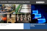 Introduction - AMO Strategic and Technology Analysis · Introduction - AMO Strategic and Technology Analysis ... through the Product Life Cycle. ... Maggie Mann - Embodied Energy