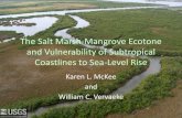 The Salt Marsh-Mangrove Ecotone and Vulnerability of ... K... · The Salt Marsh-Mangrove Ecotone and Vulnerability of Subtropical Coastlines to Sea-Level Rise Karen L. McKee and William