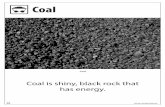 Coal - NEED · ©2017 The NEED Project 8408 Kao Circle, Manassas, VA 20110 1.800.875.5029  29 Coal TEACHER Coal looks like shiny, black rock. Coal has …