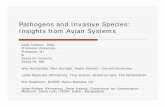 Pathogens and Invasive Species: Insights from Avian …/media/Files/Activity Files... · Pathogens and Invasive Species: Insights from Avian Systems Andy Dobson, EEB, Princeton University,