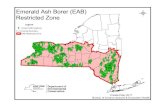 Emerald Ash Borer Restricted Zone Map Ash Borer (EAB) Restricted Zone. Created May 2017 4 Bureau of Invasive Species & Ecosystem Health Legend Town or City …