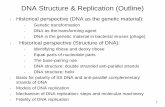DNA Structure & Replication (Outline)faculty.sdmiramar.edu/bhaidar/bhaidar 210A web uploads/Bio 130... · DNA Structure & Replication (Outline) ... DNA structure: helix ... steps