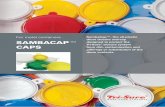For metal containers SambaCap™, the all-plastic drum ...cdn.tri-sure.company/brochures/Tri-Sure_brochure__SambaCap.pdfSAMBACAP TM CAPS For metal containers SambaCap™, the all-plastic