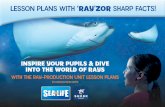 LESSON PLANS WITH ‘RAY ZOR SHARP FACTS! - … · LESSON PLANS WITH ‘RAY’ZOR SHARP FACTS ... We hope that you and your pupils will try out the Ray-Production unit and enjoy learning