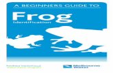 A BEGINNERS GUIDE TO Frog - Melbourne Water Guide... · What do frogs eat? ... Frog, please report it to the Melbourne Water Frog Census. Call: Insect like series of drawn out, then