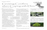 Feature Article Growing Conifers when Coping with Deer · Growing Conifers when Coping with Deer by Richard L. Bitner Feature Article I ... Chamaecyparis pisifera (Sawara-cypress)