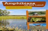 Amphibians - Alberta Conservation · amphibians – much less ... • Amphibian populations can eat millions of insects annually, ... The Frog Prince, a royal son was bewitched and