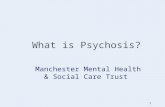What is Psychosis? - IRIS Initiative€¦ · PPT file · Web view · 2017-04-10What is Psychosis? Manchester Mental Health & Social Care Trust Aims & Objectives To provide an introduction