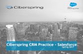 Ciberspring Salesforce Media and  ?? APEX • Visualforce ... • AppExchange Custom Development • Enterprise SFDC integrations ... Ciberspring Salesforce Media and Comm