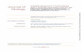 Anguillid Herpesvirus 1 Transcriptome - CORE · 10,634-bpterminaldirectrepeatonce,100splicejunctionswereidentiﬁed ... ing sequence must begin with GT and end with AG (the canonical