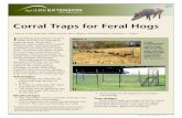 Corral traps for feral hogsferalhogs.tamu.edu/.../2013/05/L-5524-Corral-Traps-for-Feral-Hogs.pdf · Many door designs are available for corral traps. The best design for your situation