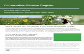 Conservation Reserve Program - USDA-Farm Service ... Choose CRP? You Benefit. Land, Water and Wildlife Benefit. The Pollinator Habitat Initiative enhances honey bee and native pollinator