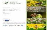 Pollinator Initiatives in EU Member States: Success …ec.europa.eu/environment/nature/conservation/species/...Table Of ontents Table Of Contents 3 1 Introduction 1 2 Pollinator initiatives: