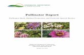 Pollinator Report, January 2014 - Welcome to the … Pollinator Report to the Minnesota State Legislature: Pollinator Bank, Habitat Protection, and Pesticide Special Review January