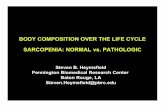 BODY COMPOSITION OVER THE LIFE CYCLE ... GE Healthcare Christel Verbo v en April 2007 BODY COMPOSITION OVER THE LIFE CYCLE SARCOPENIA: NORMAL vs. PATHOLOGIC Steven B. He y msfield