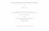 Essays in Open Economy Macroeconomics · Economics for acceptance a thesis entitled “Essays in Open Economy Macroeconomics” by Nurbek Jenish. Dated: December 5, 2008 ... Alessia