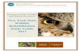 New York State Wildlife Rehabilitation Study Guide 2013 · New York State Wildlife Rehabilitation Study Guide ... It is by reading some of these references, ... such as the New York