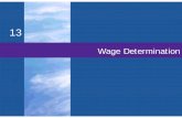 Wage Determination - jb-hdnp.orgjb-hdnp.org/Sarver/AP_Economics/Power_Point_Summaries/Chap013.pdfLabor, Wages ,and Earnings • Wages •Price paid for labor •Direct pay plus fringe