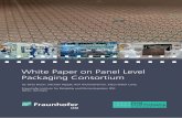 ie Pae n Panel Level Packaging ni - Fraunhofer IZM · ie Pae n Panel Level Packaging ni ... (fan-in type) is a substrate-less ... packaging and substrate technology. Wafer level packaging