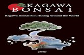 KAGAWA BONSA I - jetro.go.jp · Overseas exports Data on producing Bonsai in Kagawa History of Bonsai from Kagawa Producing Bonsai in Kagawa Prefecture has a long history and is said