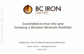 Committed to Iron Ore and Growing a Broader … to Iron Ore and ... These forward-looking statements are not historical facts but rather are based on BC Iron’s ... Price volatility